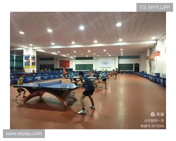 北京乒乓球队耐力训练的深度分析与提升策略探讨