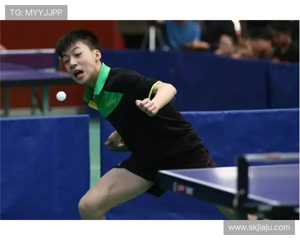 黄强的乒乓球人生深度对话探秘与成长之路的启示与反思